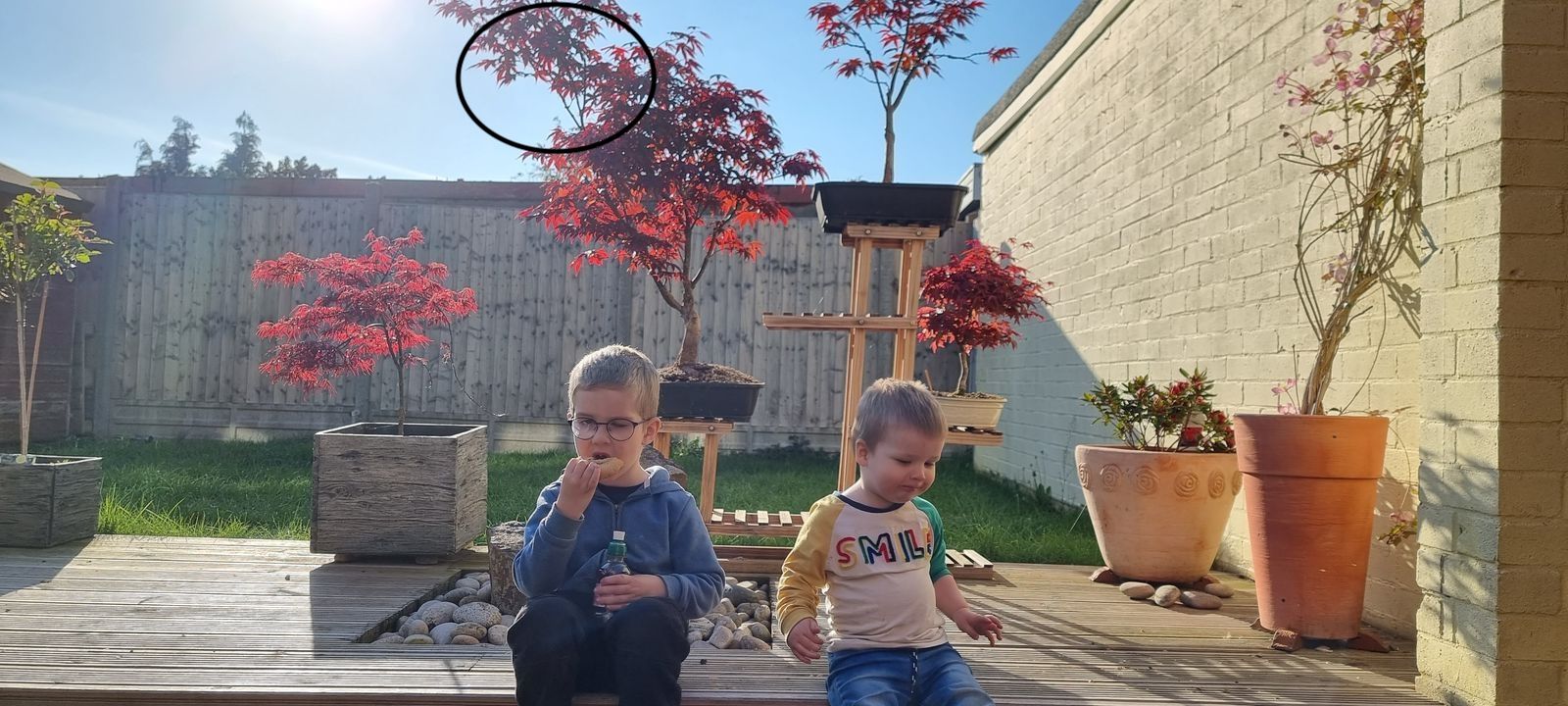 A Game Of Patience - Paying It Off...